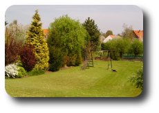 Zicht op tuin met beplanting en schommel